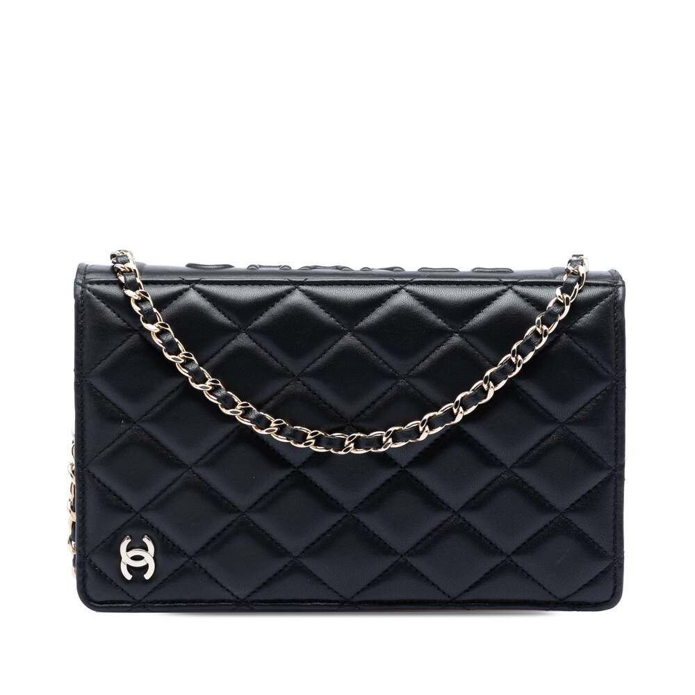 Chanel Book Wallet On Chain Quilted #260397C41B